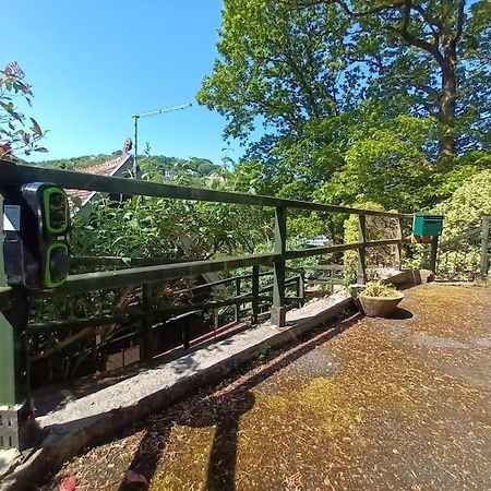 Treetop Cottage At Countisbury Lodge Lynmouth Ngoại thất bức ảnh