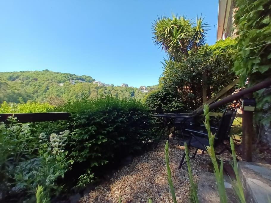 Treetop Cottage At Countisbury Lodge Lynmouth Ngoại thất bức ảnh